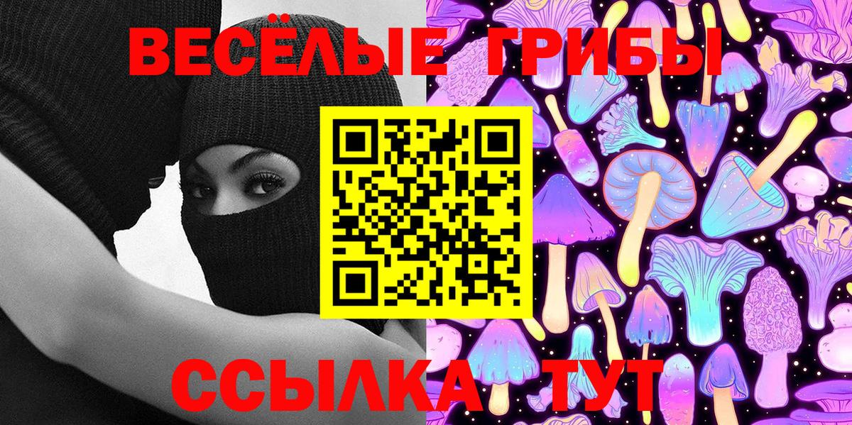 Псилоцибиновые грибы MAGIC MUSHROOMS Верхняя Пышма